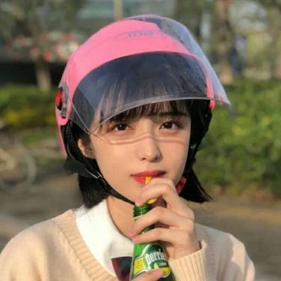 引领光明汉化版下载