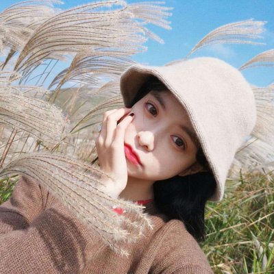 梦幻忘情gm版下载
