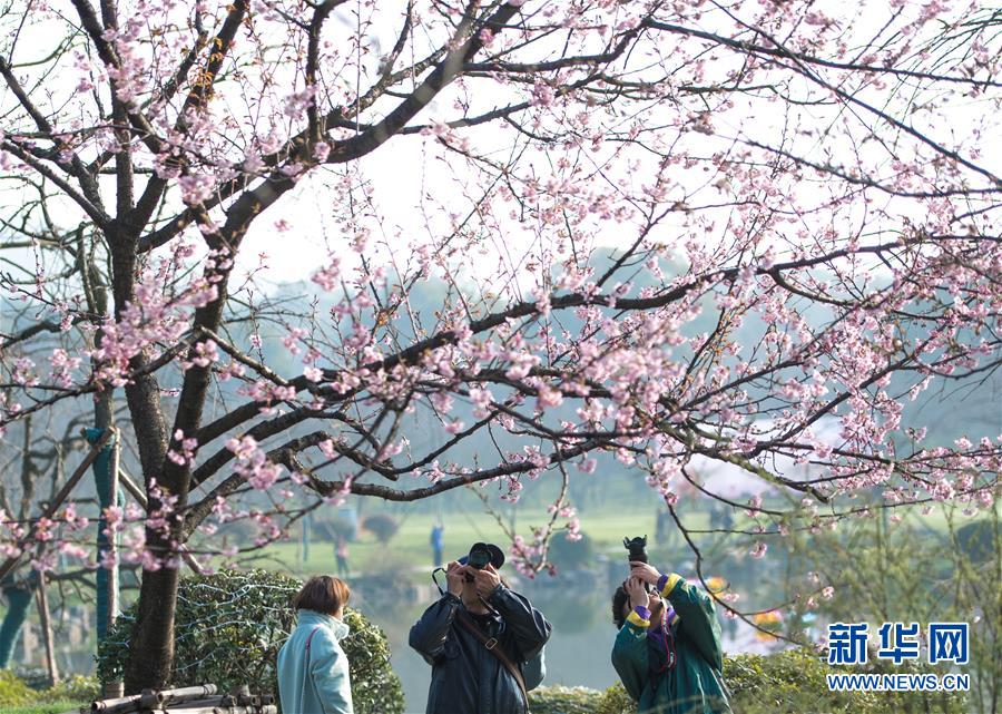 随大同疑案破解版下载