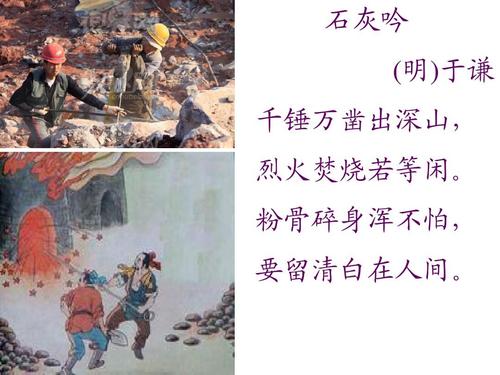 贝乐虎认知卡内购破解版下载
